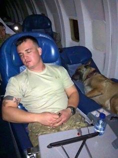 a man sitting in an airplane with his dog sleeping on the seat next to him