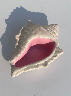 a pink and white sea shell on a white surface with shadow from the back side