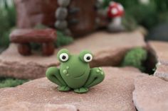 a green frog sitting on top of a rock