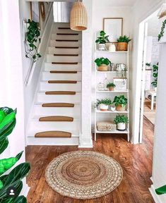 a white staircase with plants and potted plants on the shelves in front of it