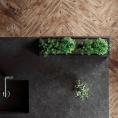 an overhead view of a kitchen sink and counter top with plants in the middle on it