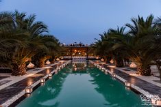 an outdoor swimming pool surrounded by palm trees and lanterns at dusk with the lights on