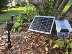 a solar powered light sitting next to a tree in the grass and mulchy ground