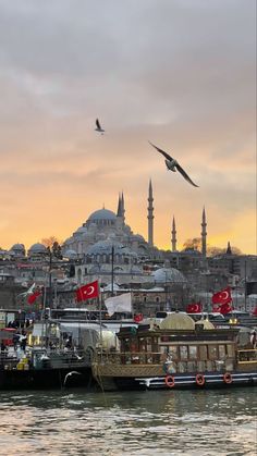 two birds flying over boats in the water near a large city with buildings and domes