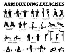 an arm building exercise poster with instructions for people to do exercises on the gym equipment