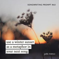 a plant with the sun setting in the background and a quote written on it that says, use a winter sunset as a metaphor in your next song