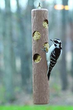 a bird feeder hanging from a wooden pole