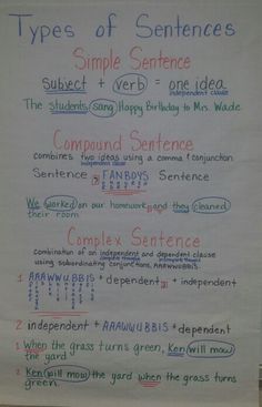 a white paper with writing on it that has different types of sentences written in red and blue