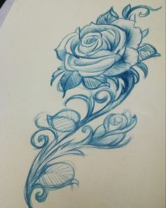 a pencil drawing of a rose on paper