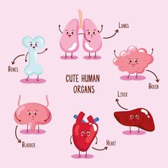 cute human organs with different expressions