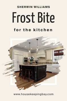 Frost Bite SW 9505 for the Kitchen by Sherwin-Williams Stainless Steel Appliances