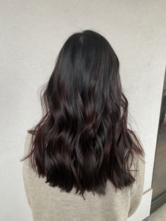 Dark Low Lights For Black Hair, Dark Brown Dimensional Hair Color, Dark Brown Hair Winter, Black Hair Medium Length Haircuts, Natural Balayage Black Hair, Single Process Hair Color Brunette, Hair Dye For Black Hair, Warm Black Hair, Brown Hair Straight