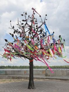 a tree that has been decorated with ribbons