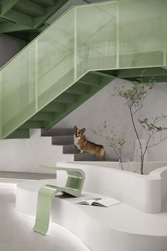 there is a dog that is standing on the stairs in this room with green railings