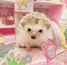 a hedgehog sitting on top of a pink toy carriage with princess decorations around it