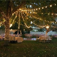 an outdoor dining area is lit up with fairy lights and tables set for dinner under a tree