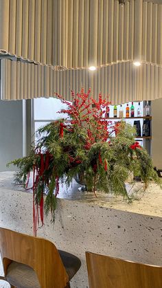 a potted plant sitting on top of a counter next to two wooden chairs in front of a counter