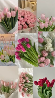 a bunch of pink and white tulips in different stages of blooming