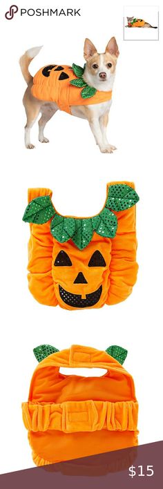 XXL Dog Pumpkin Costume Dog Pumpkin Costume, Dog Outfits, Dog Cakes, Dog Costumes, Pet Costumes, Puppy Pictures