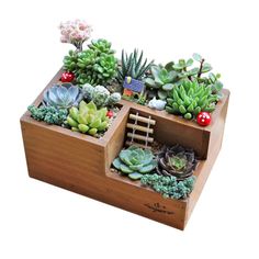 an assortment of succulents and plants in a wooden planter on a white background