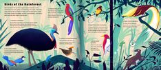 an open book with birds in the rainforest