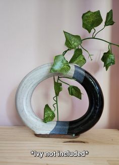 a plant is growing out of a black and white vase