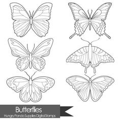 four different types of butterflies in black and white, each with their own outlines