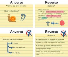 four different types of words on lined paper with spanish and english writing in the middle