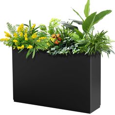 a planter filled with lots of green plants on top of a white background,