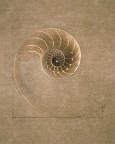 an aerial view of a spiral shaped object