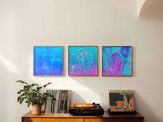 three paintings hang on the wall next to a record player and plant in a room