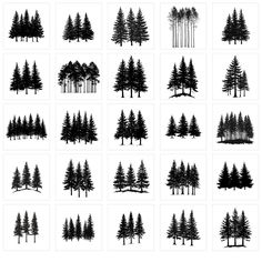 black and white trees are shown in the shape of different shapes, sizes and colors