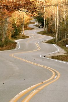 an empty road surrounded by trees in the fall