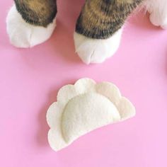 a cat's paw with a piece of felt next to it on a pink surface