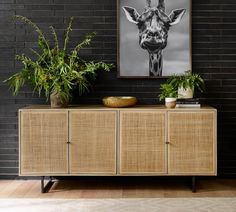 a giraffe is hanging on the wall next to a wooden cabinet and potted plants