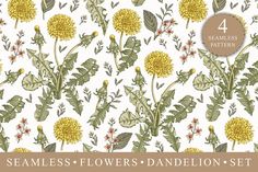 seamless flowers and dandelion set on a white background with the words seamless patterns