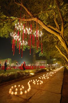 many candles are lit on the ground in front of some trees and people standing under them