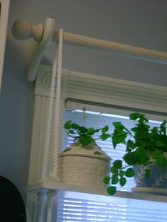 a potted plant sitting on top of a shelf next to a window sill