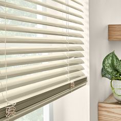 a window with white blinds and a potted plant on the ledge next to it