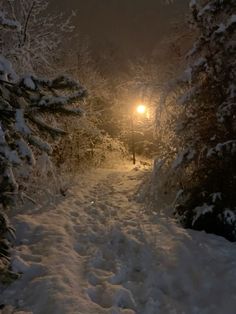 a snow covered path leading to a street light