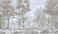 an image of a forest scene with horses in the distance and trees on the other side