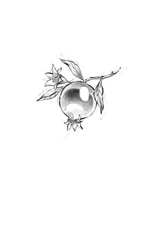 a black and white drawing of a bird on a branch with a ball in the middle