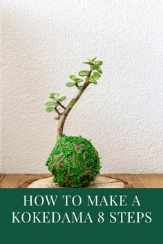 Kokedama Kokodama Pot Diy, Kokedama How To Make, Kokodama Pot, Kokedama Plants, Kokedamas Ideas, Kokedama Diy, Plants Unique, Patio Container Gardening, Japanese Plants