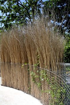 the fence is made of metal wire and has tall grass growing on top of it