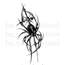 a black and white drawing of a spider