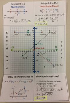 the coordinate line worksheet is on display in front of a whiteboard with numbers and graphs