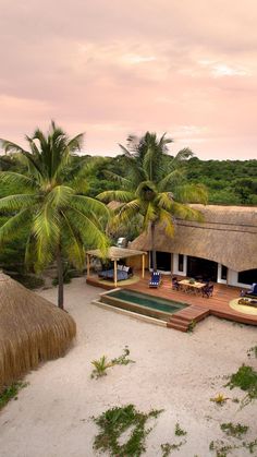 an aerial view of a tropical resort with palm trees