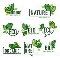 logos and badges for organic products on a white background with green leaves in the shape of rectangles