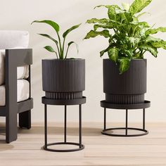 two potted plants sitting next to each other on top of a wooden floor in front of a white wall