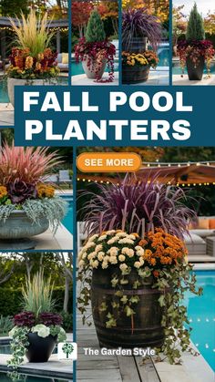 an advertisement for the garden style pool planters, with pictures of different plants and flowers